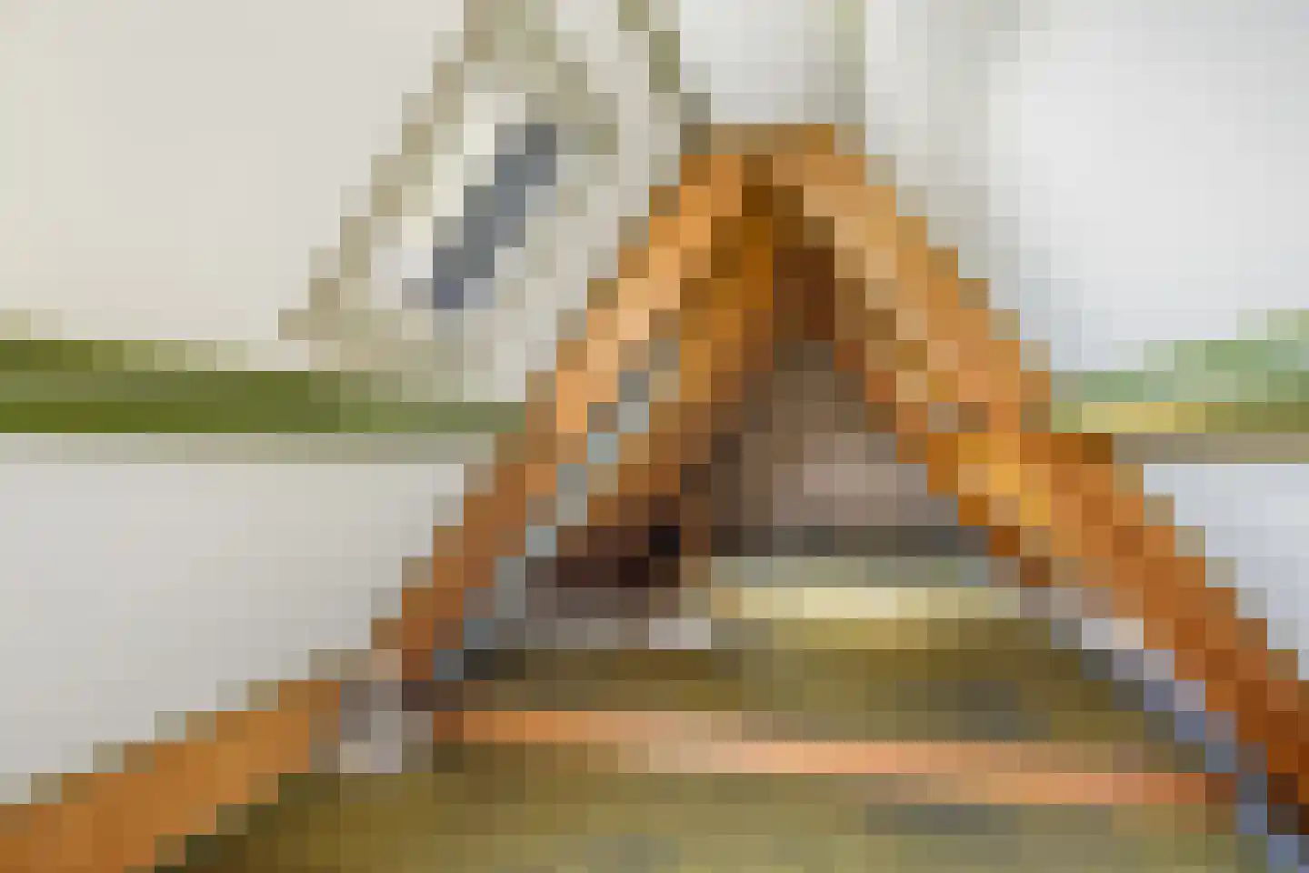 Jan Schotanuswei 53 Oudemirdum thumbnail 29