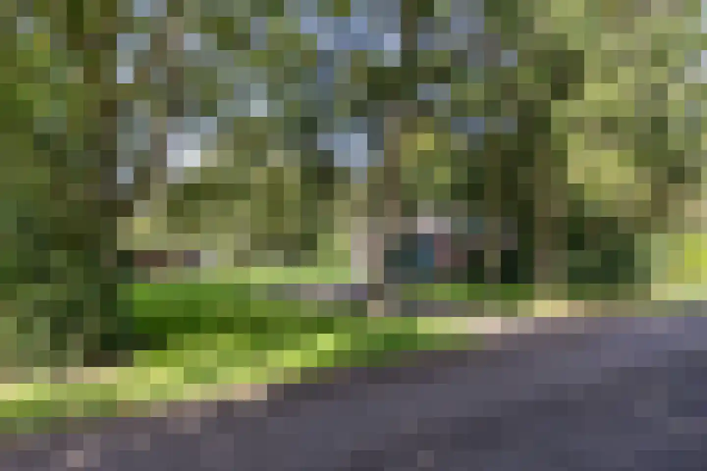 Jan Schotanuswei 53 Oudemirdum thumbnail 30