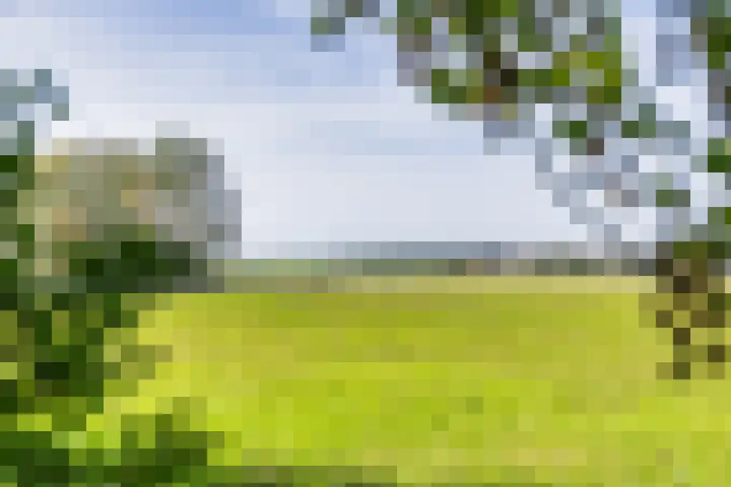 Jan Schotanuswei 53 Oudemirdum thumbnail 35