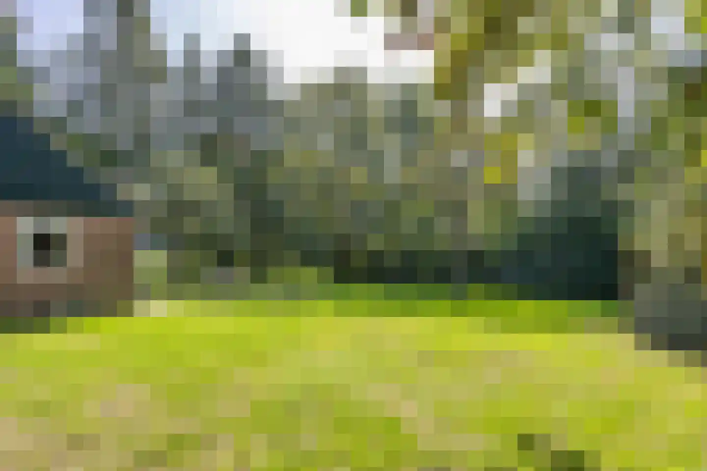 Jan Schotanuswei 53 Oudemirdum thumbnail 36