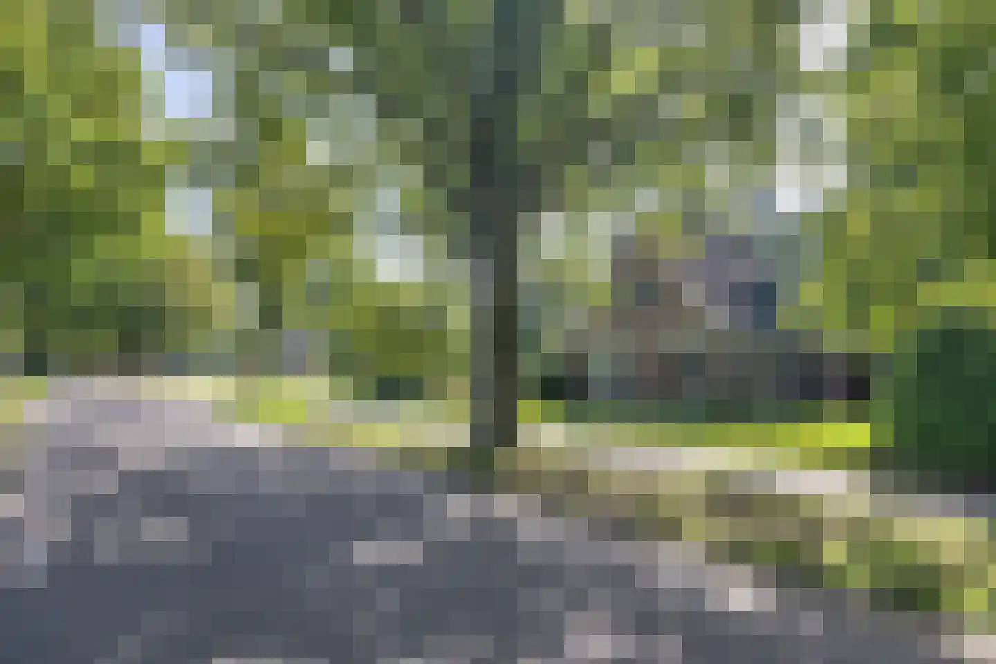 Jan Schotanuswei 53 Oudemirdum thumbnail 40
