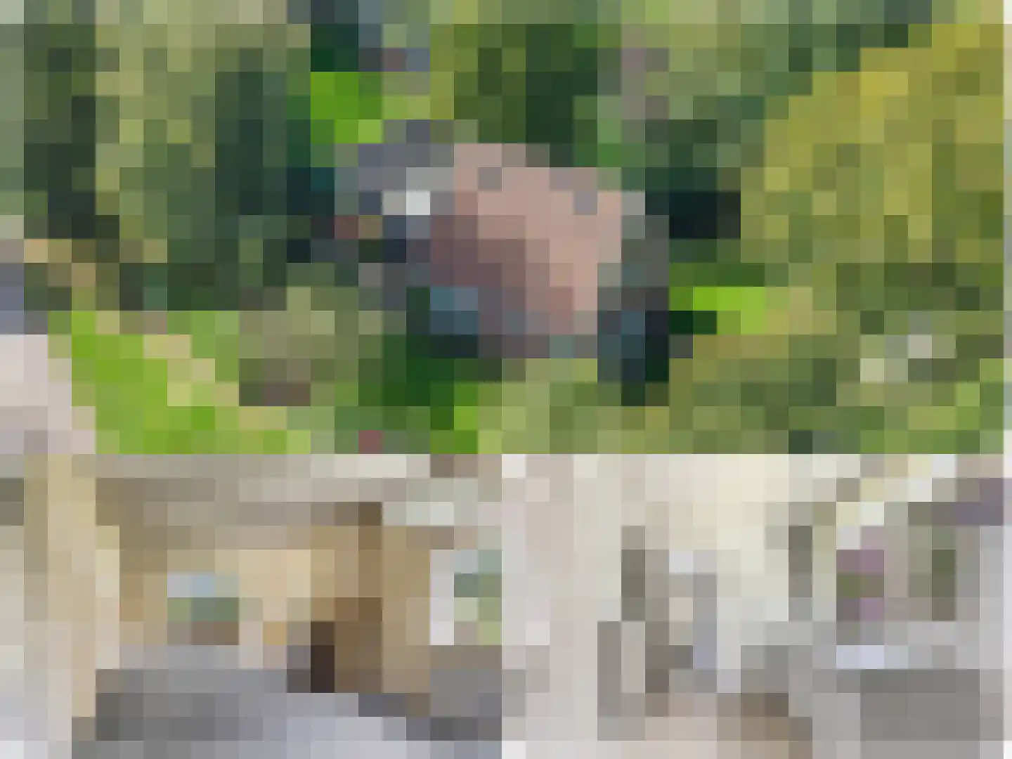 Jan Schotanuswei 53 Oudemirdum thumbnail 7