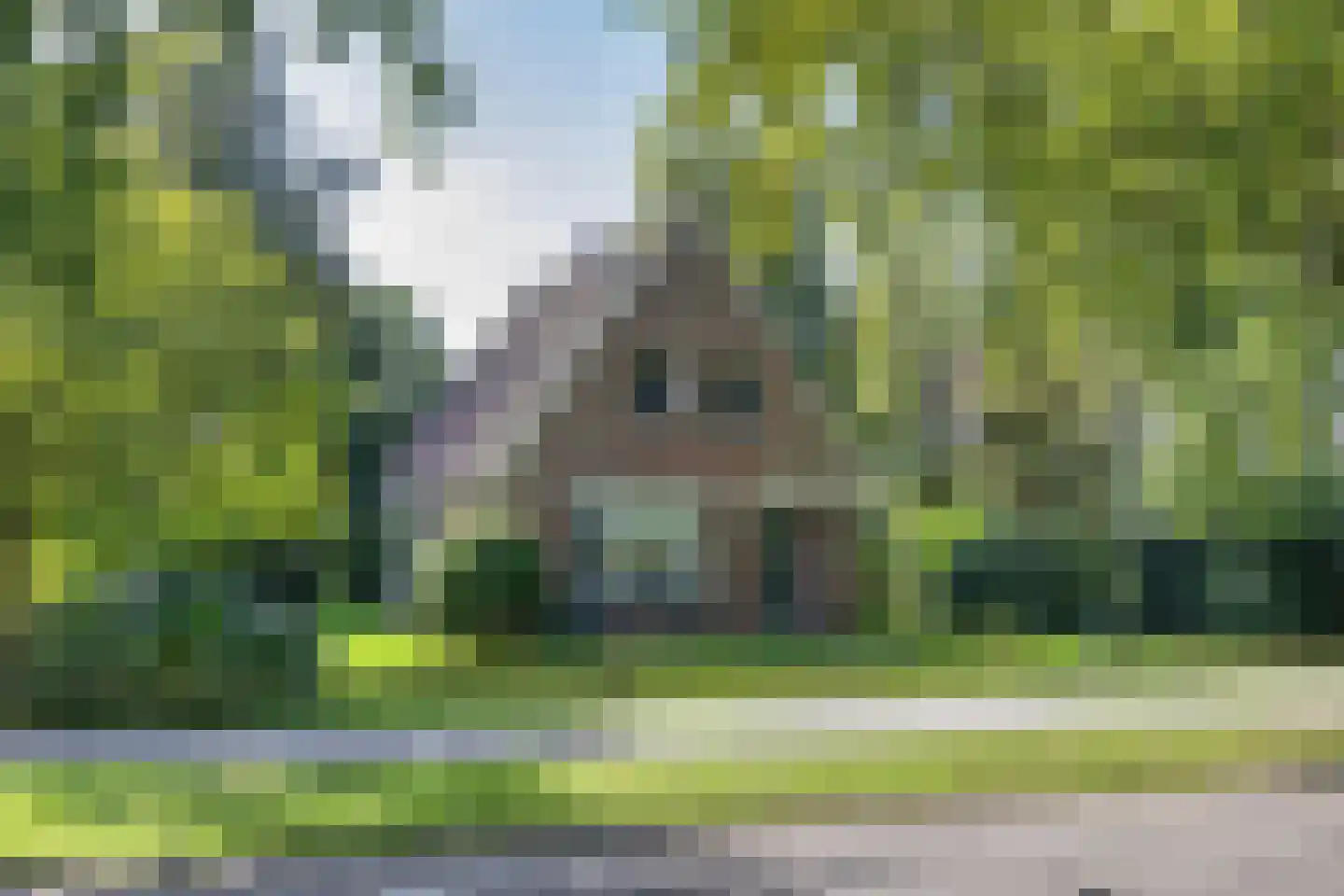 Jan Schotanuswei 53 Oudemirdum thumbnail 8