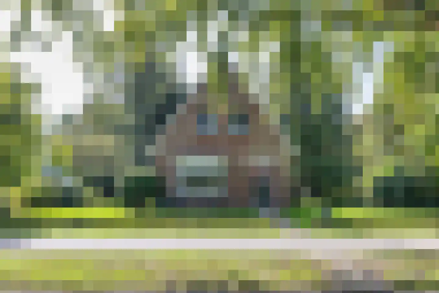 Jan Schotanuswei 53 Oudemirdum thumbnail 9