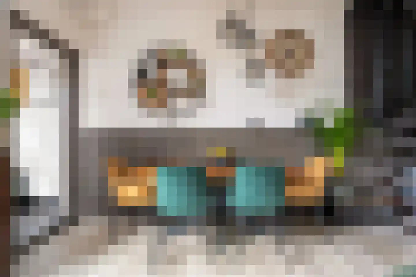 Jan Schoutenstraat 12 Dordrecht thumbnail 11