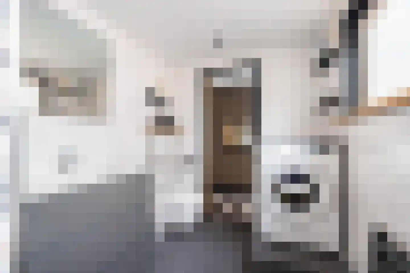 Jan Schoutenstraat 12 Dordrecht thumbnail 24