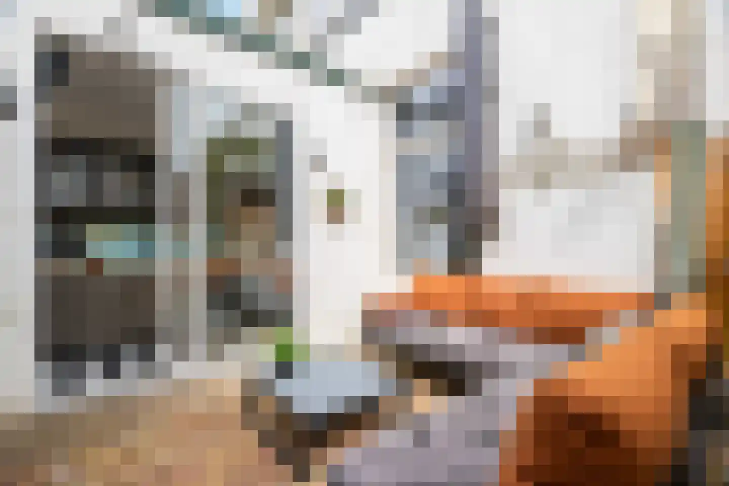Jan Schoutenstraat 12 Dordrecht thumbnail 26