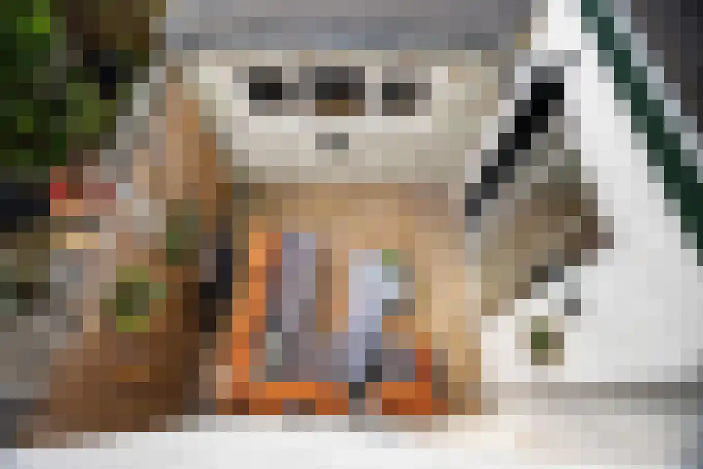 Jan Schoutenstraat 12 Dordrecht thumbnail 38