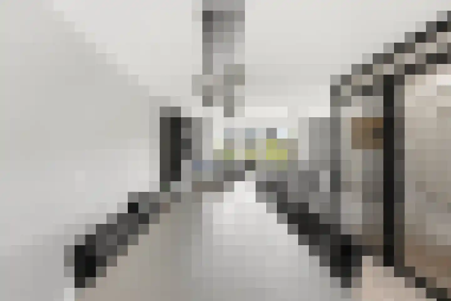 Jan Schoutenstraat 23 Rotterdam thumbnail 12