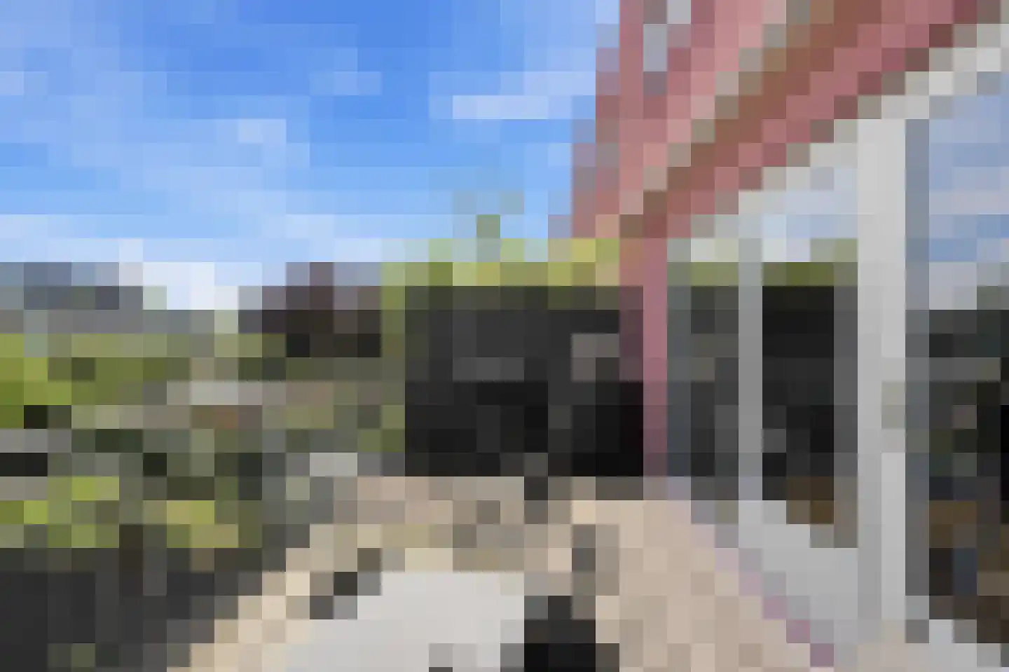 Jan Schoutenstraat 23 Rotterdam thumbnail 21