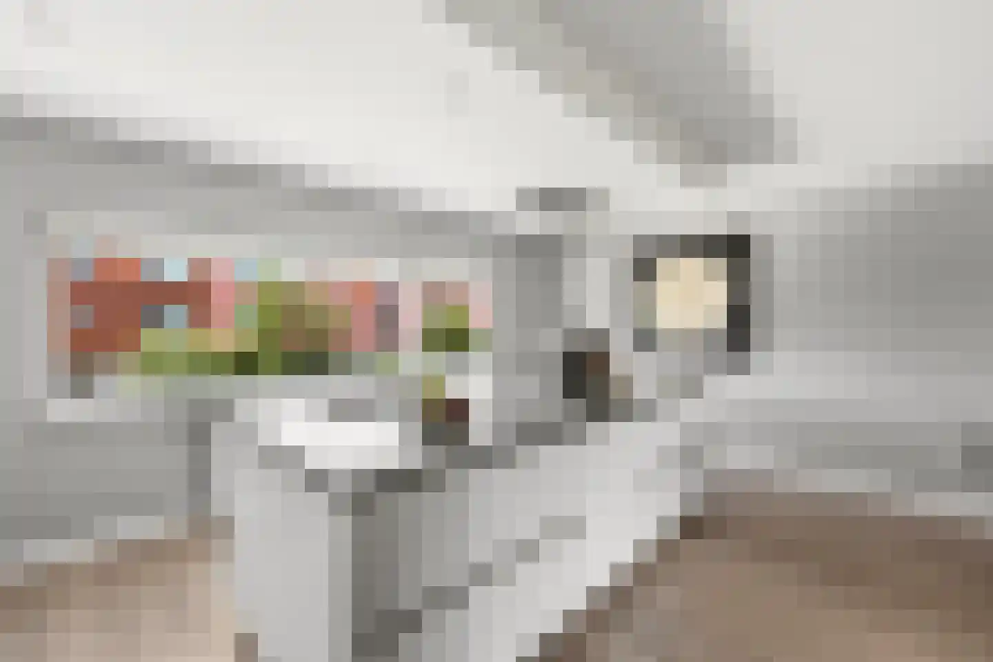 Jan Schoutenstraat 23 Rotterdam thumbnail 9