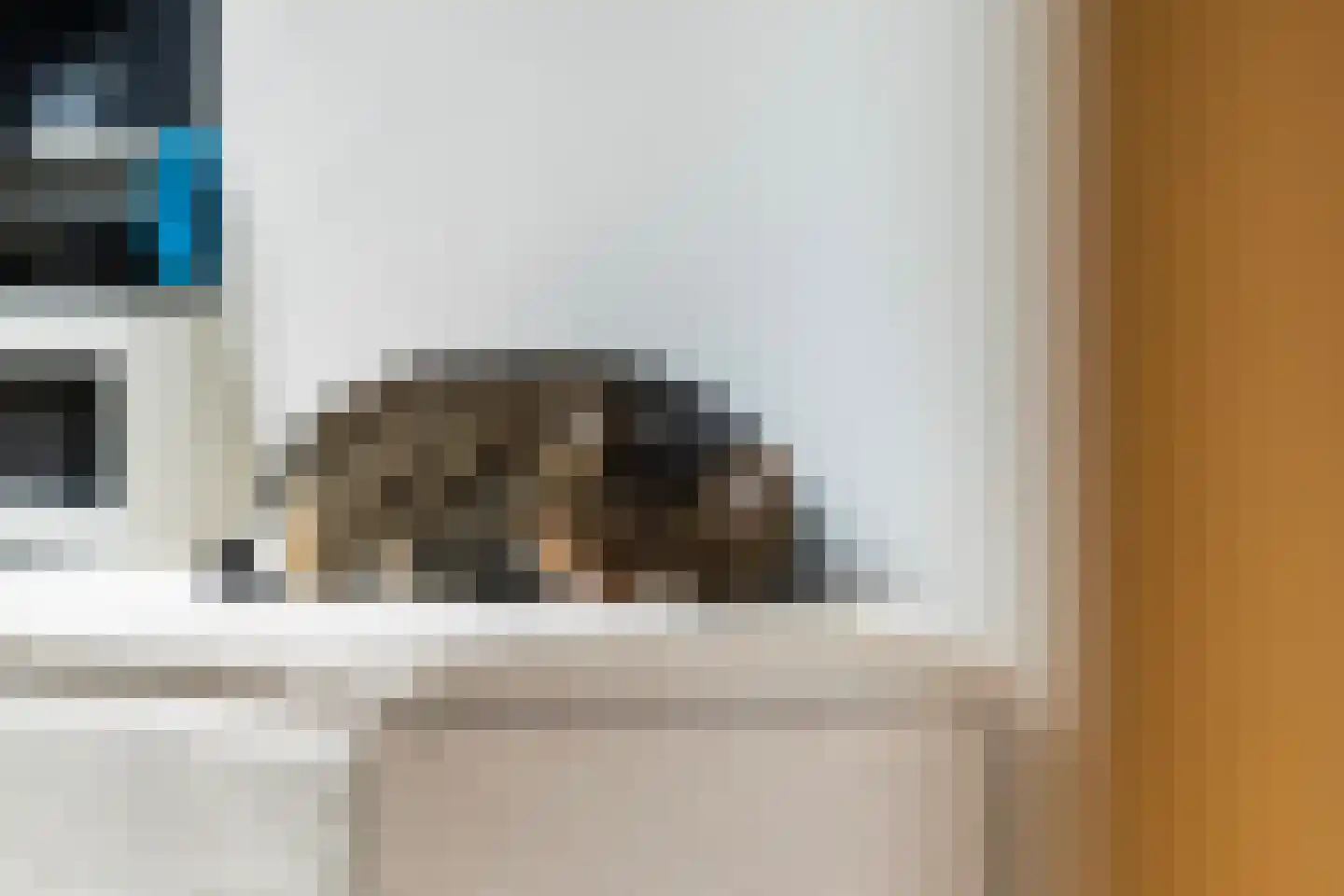 Jan Schoutenstraat 3 Dordrecht thumbnail 10