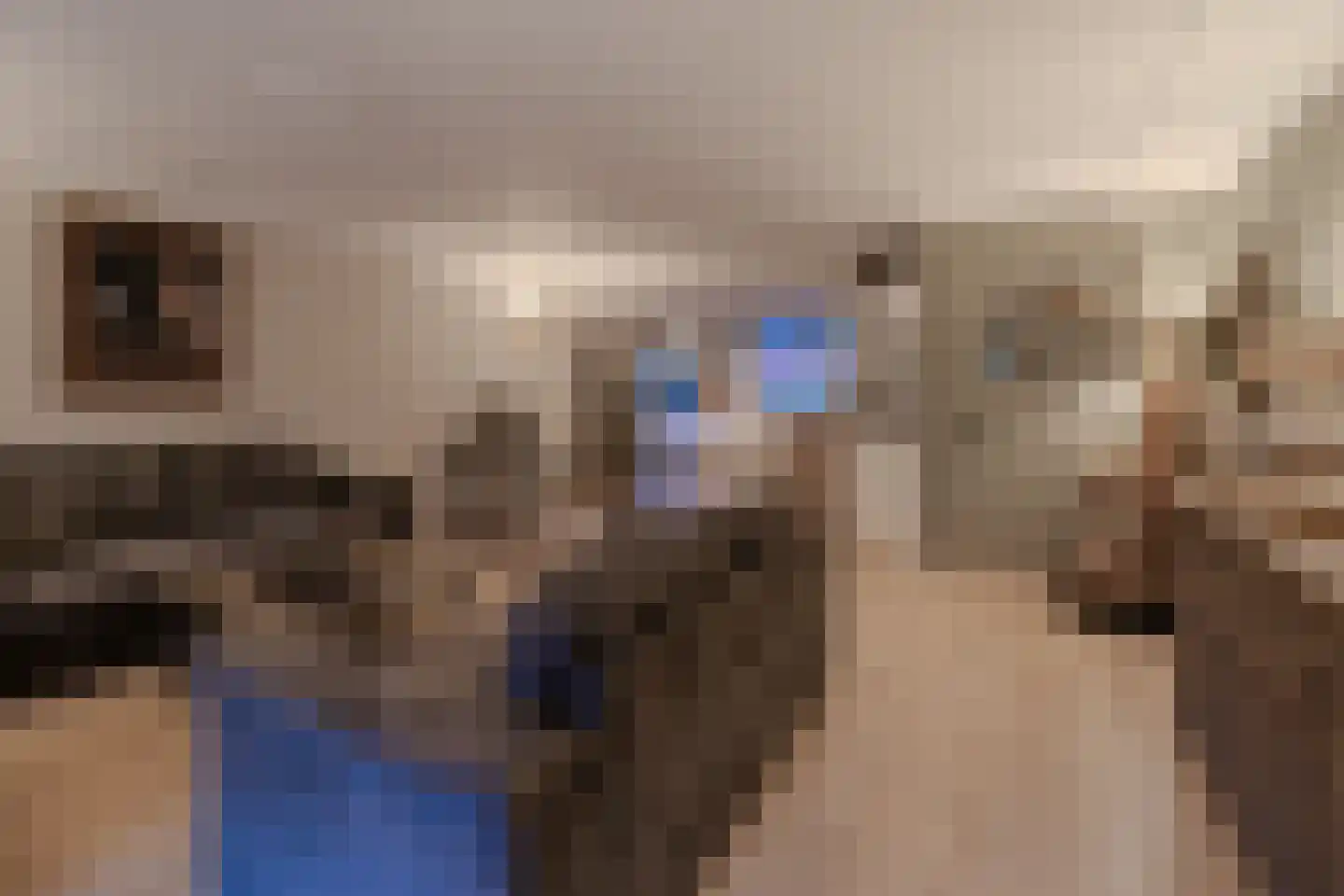 Jan Schoutenstraat 4 Rotterdam thumbnail 13