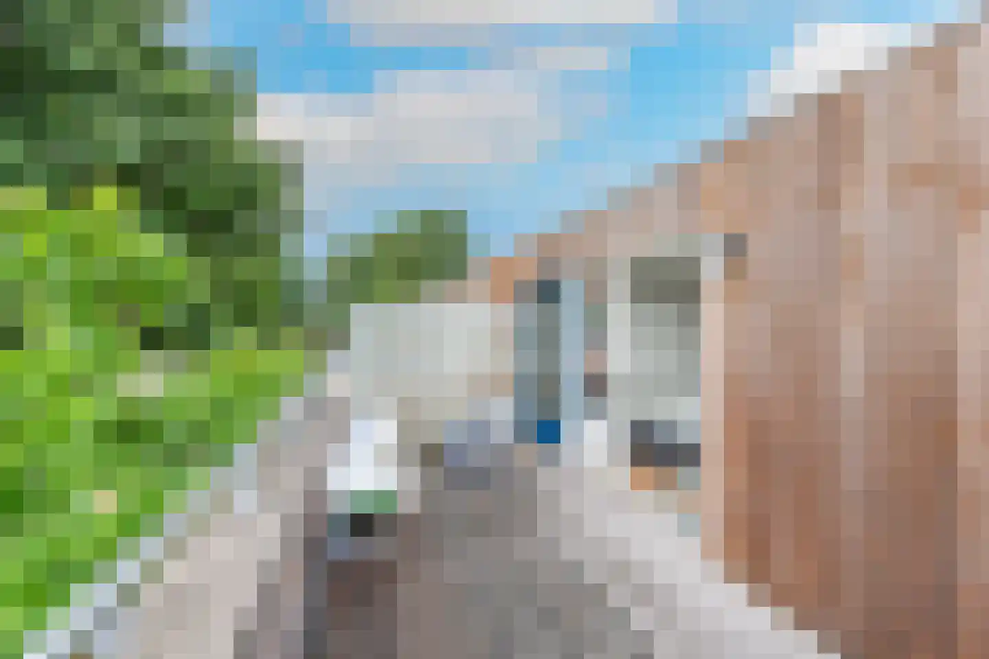 Jan Schuijtlaan 9 Heiloo thumbnail 18