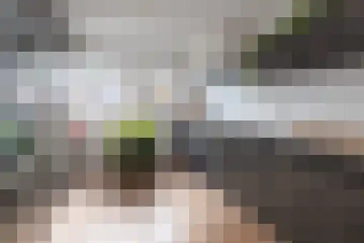 Jan Seppenplein 52 Barneveld thumbnail 12