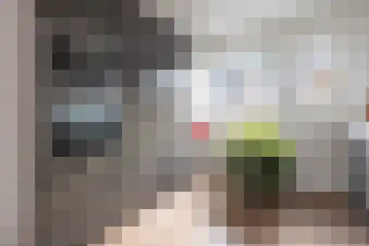 Jan Seppenplein 52 Barneveld thumbnail 14