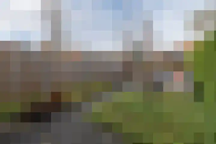 Jan Seppenplein 52 Barneveld thumbnail 35