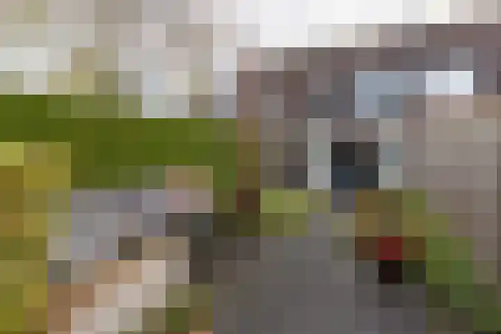 Jan Seppenplein 52 Barneveld thumbnail 37