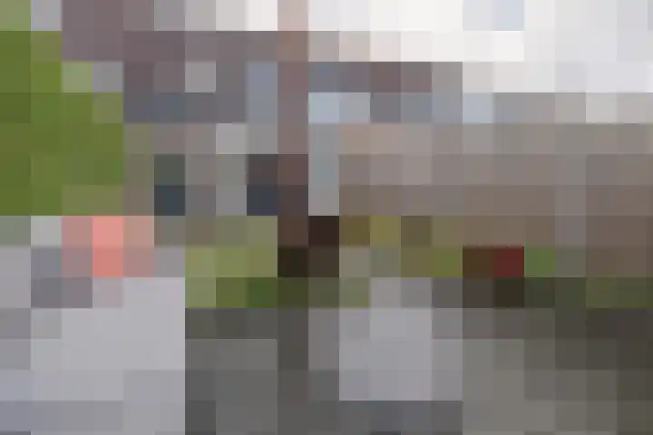 Jan Seppenplein 52 Barneveld thumbnail 38