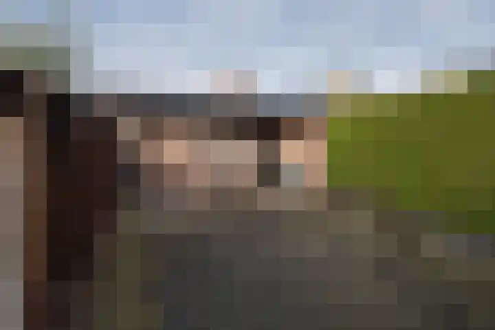 Jan Seppenplein 52 Barneveld thumbnail 39