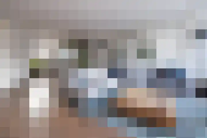 Jan Seppenplein 52 Barneveld thumbnail 4