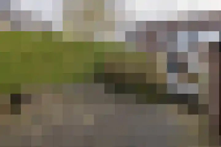 Jan Seppenplein 52 Barneveld thumbnail 41