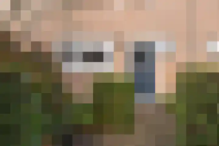 Jan Seppenplein 52 Barneveld thumbnail 45