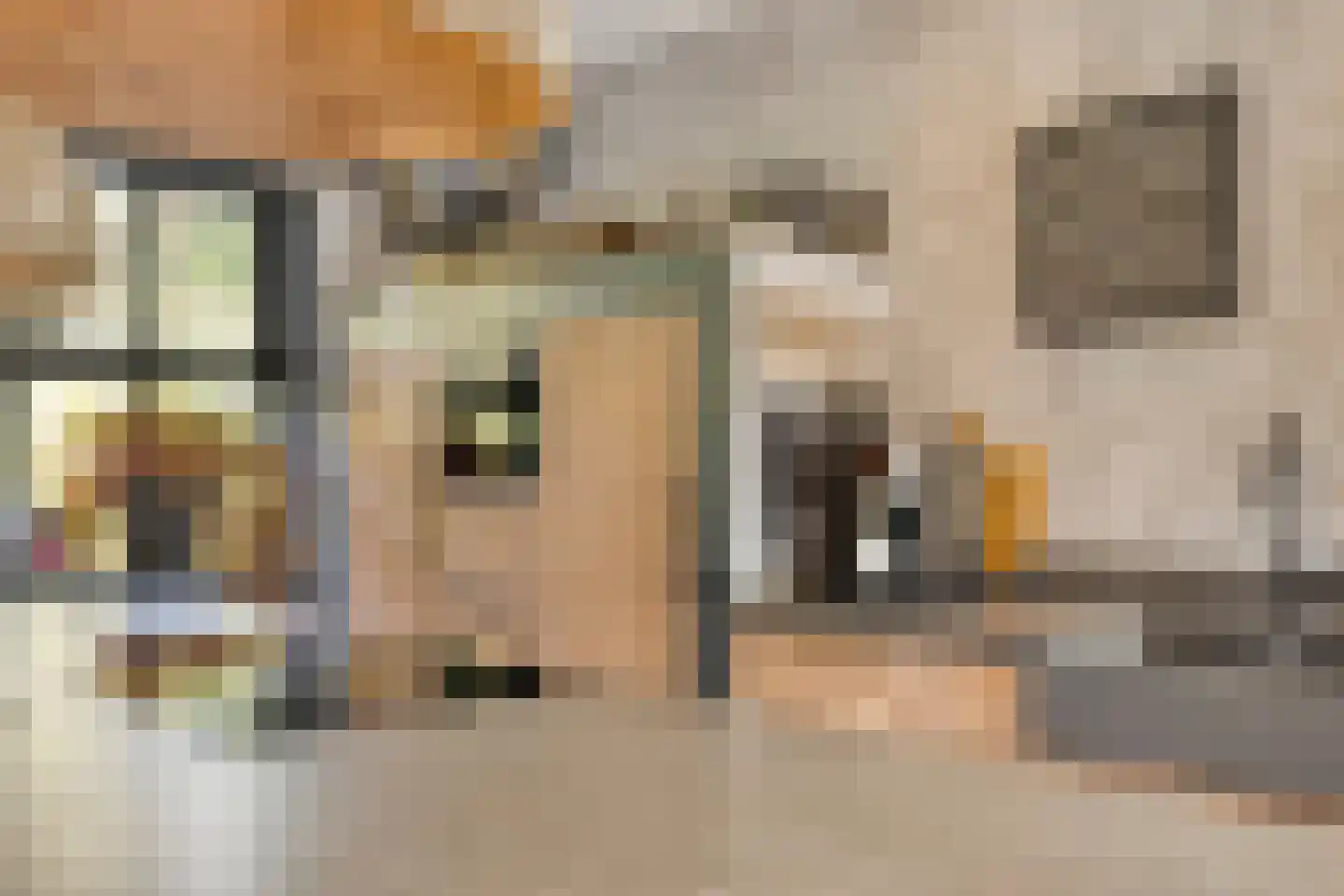 Jan Sinkeweg 20 Halsteren thumbnail 10
