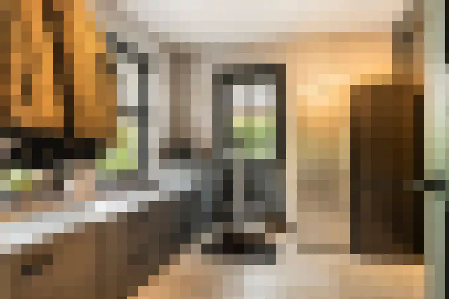 Jan Sinkeweg 20 Halsteren thumbnail 18