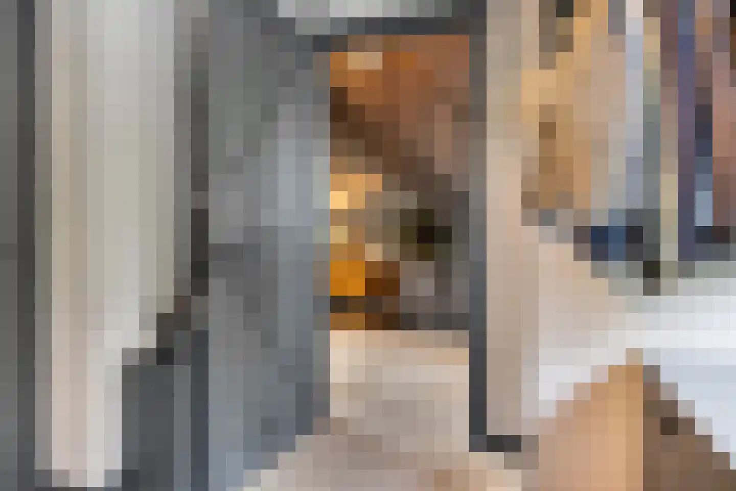 Jan Sinkeweg 20 Halsteren thumbnail 20
