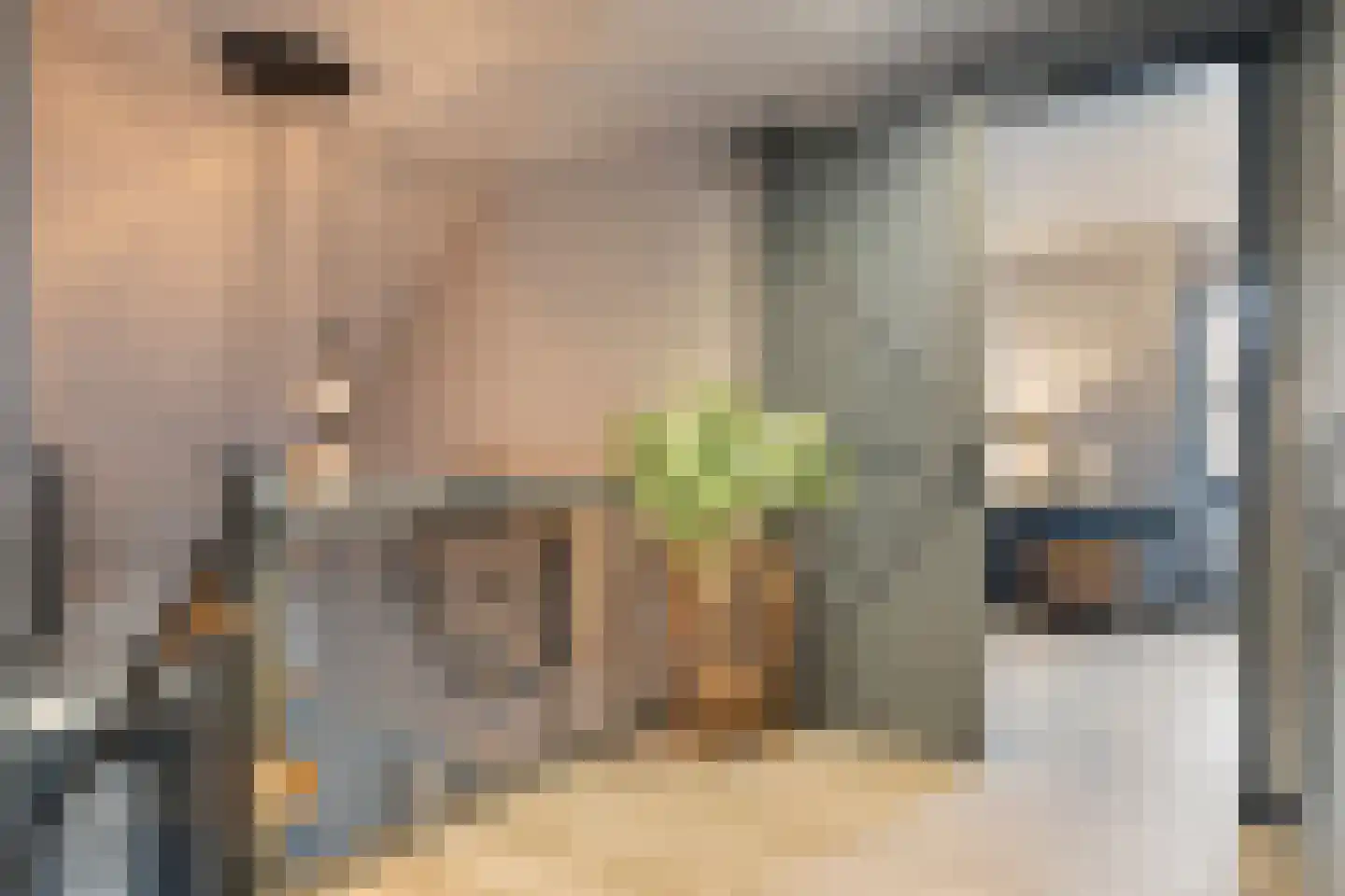 Jan Sinkeweg 20 Halsteren thumbnail 21