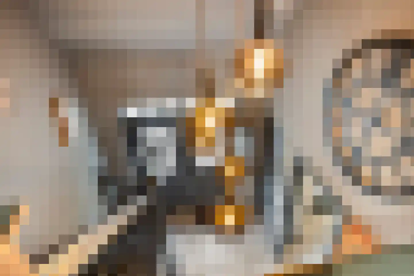 Jan Sinkeweg 20 Halsteren thumbnail 23