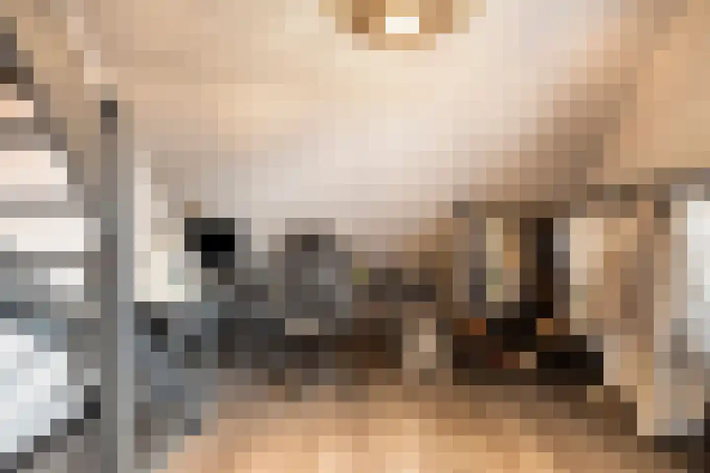 Jan Sinkeweg 20 Halsteren thumbnail 30