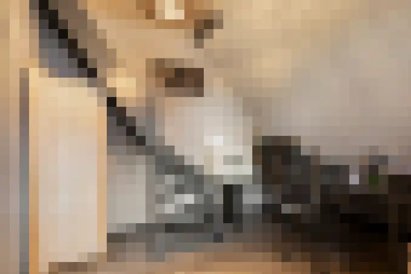 Jan Sinkeweg 20 Halsteren thumbnail 31