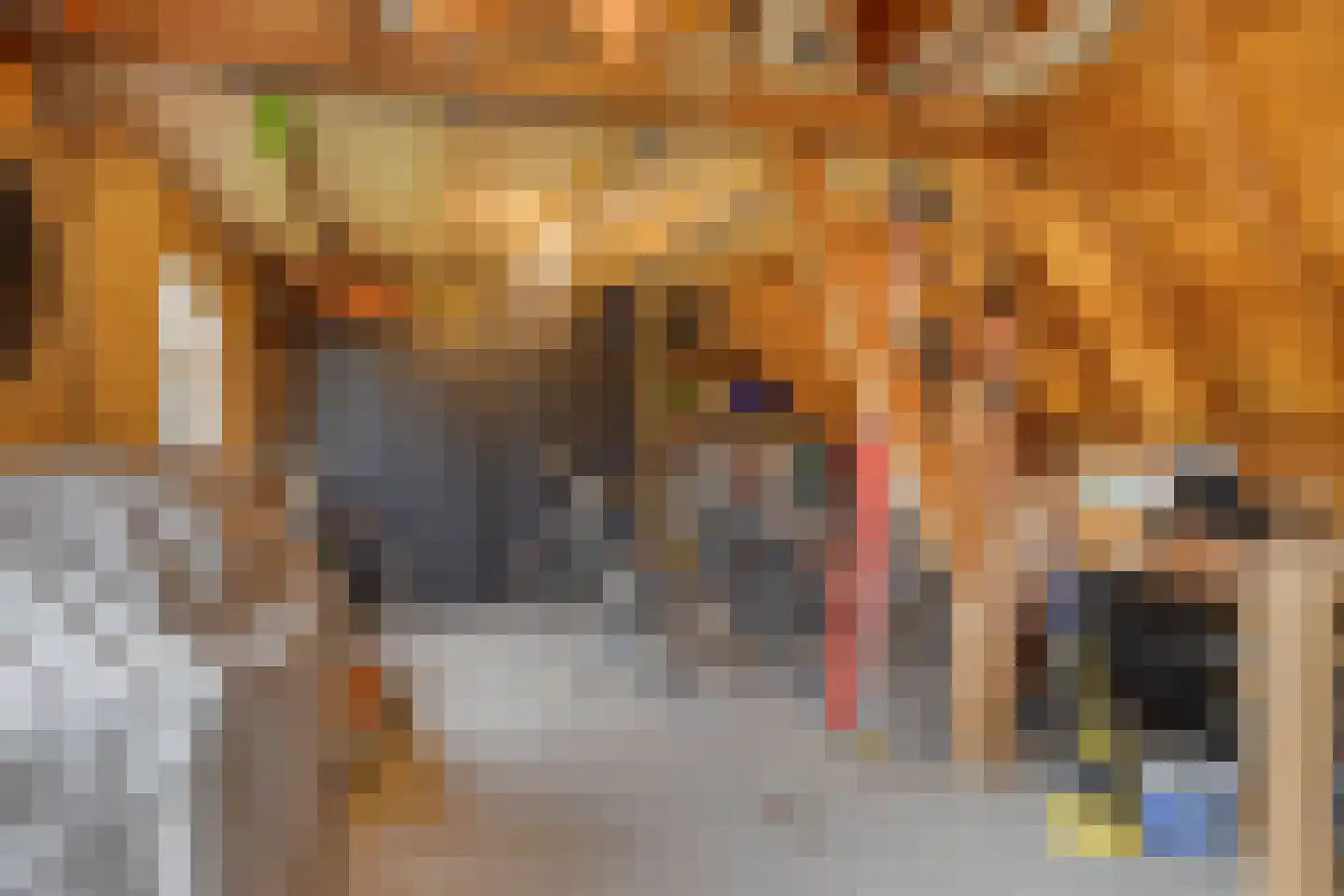 Jan Sinkeweg 20 Halsteren thumbnail 42