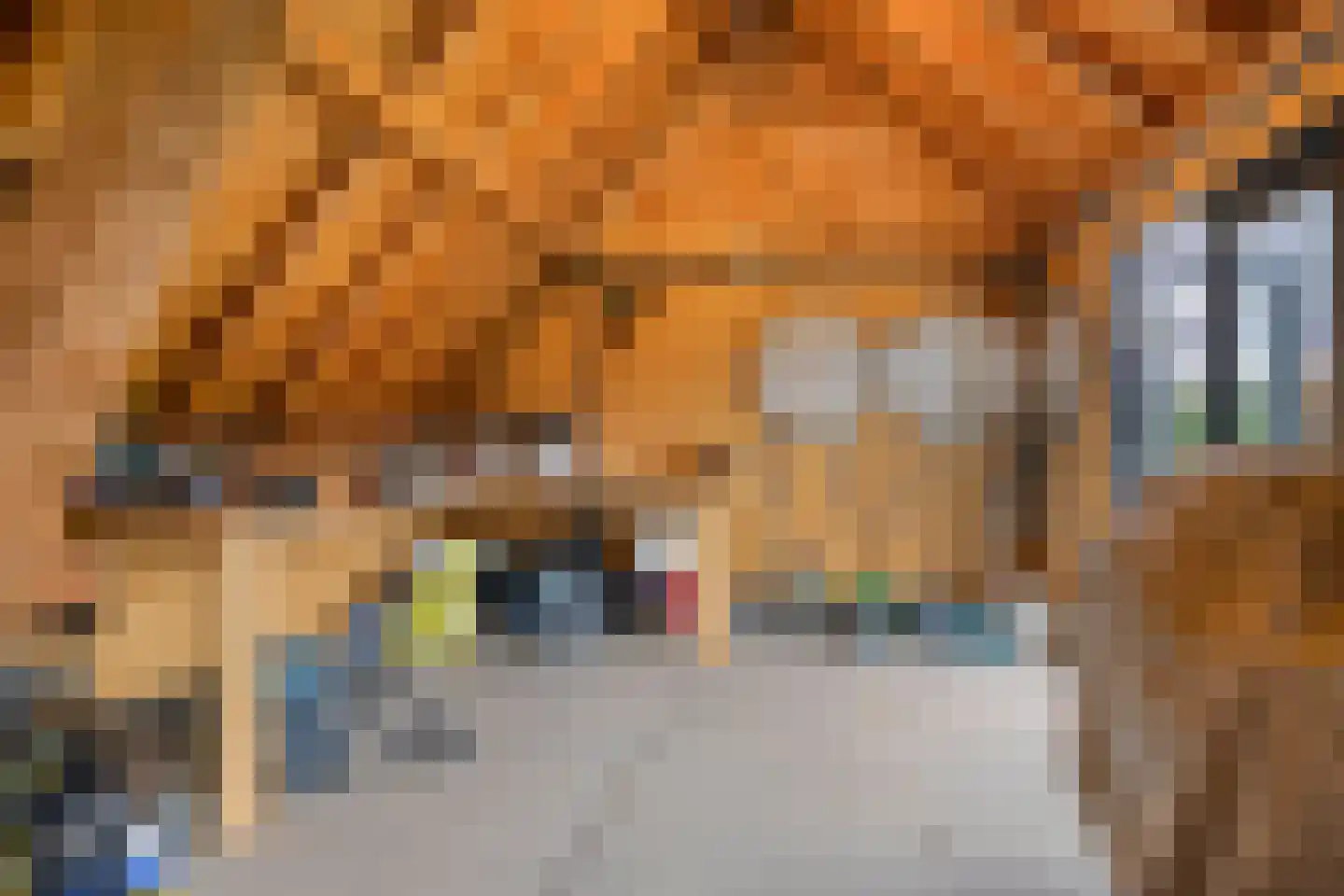 Jan Sinkeweg 20 Halsteren thumbnail 43