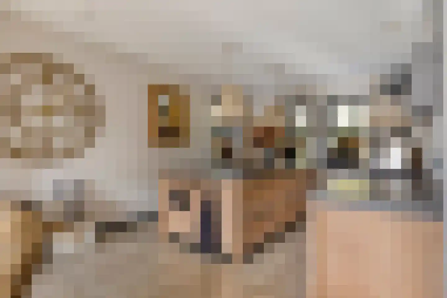 Jan Sinkeweg 20 Halsteren thumbnail 5