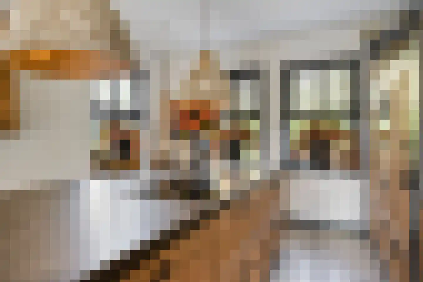 Jan Sinkeweg 20 Halsteren thumbnail 7