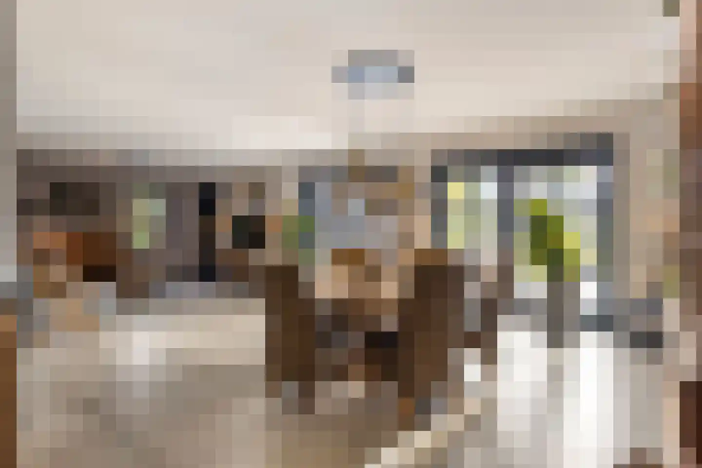 Jan Sinkeweg 20 Halsteren thumbnail 8
