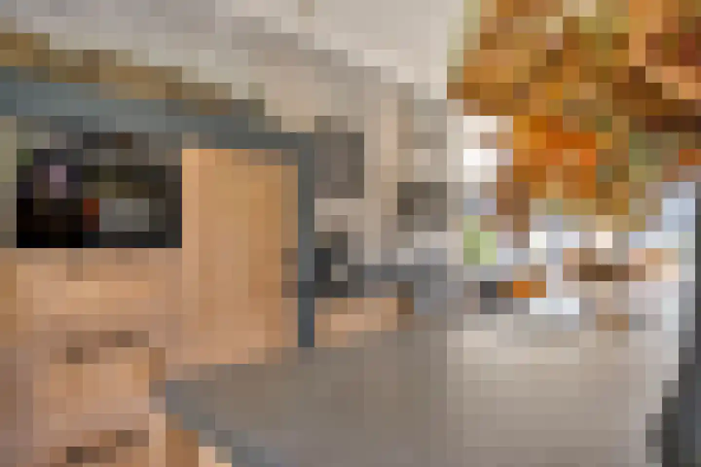 Jan Sinkeweg 20 Halsteren thumbnail 9