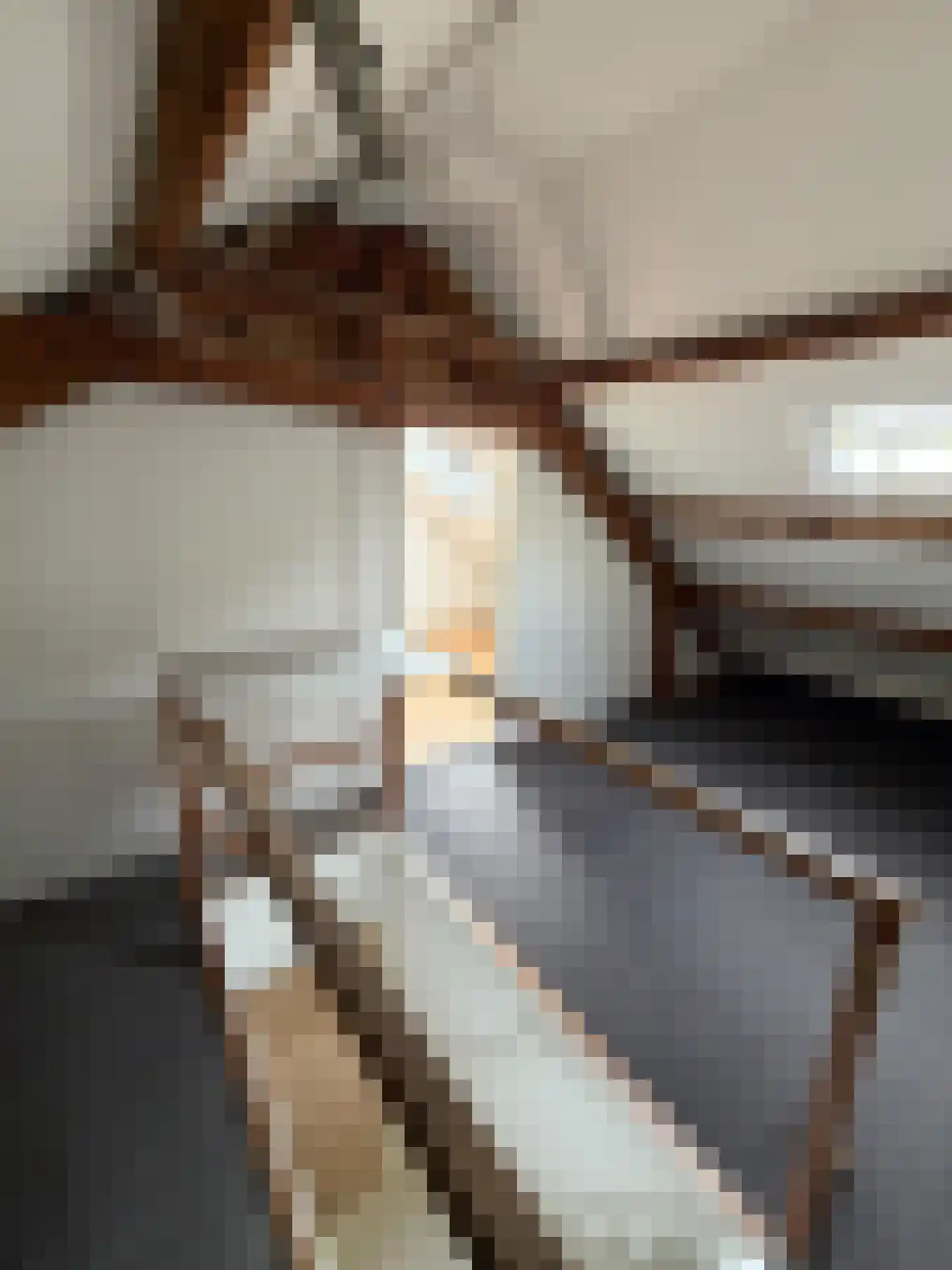Jan Sluijtersstraat 11 Roosendaal thumbnail 13