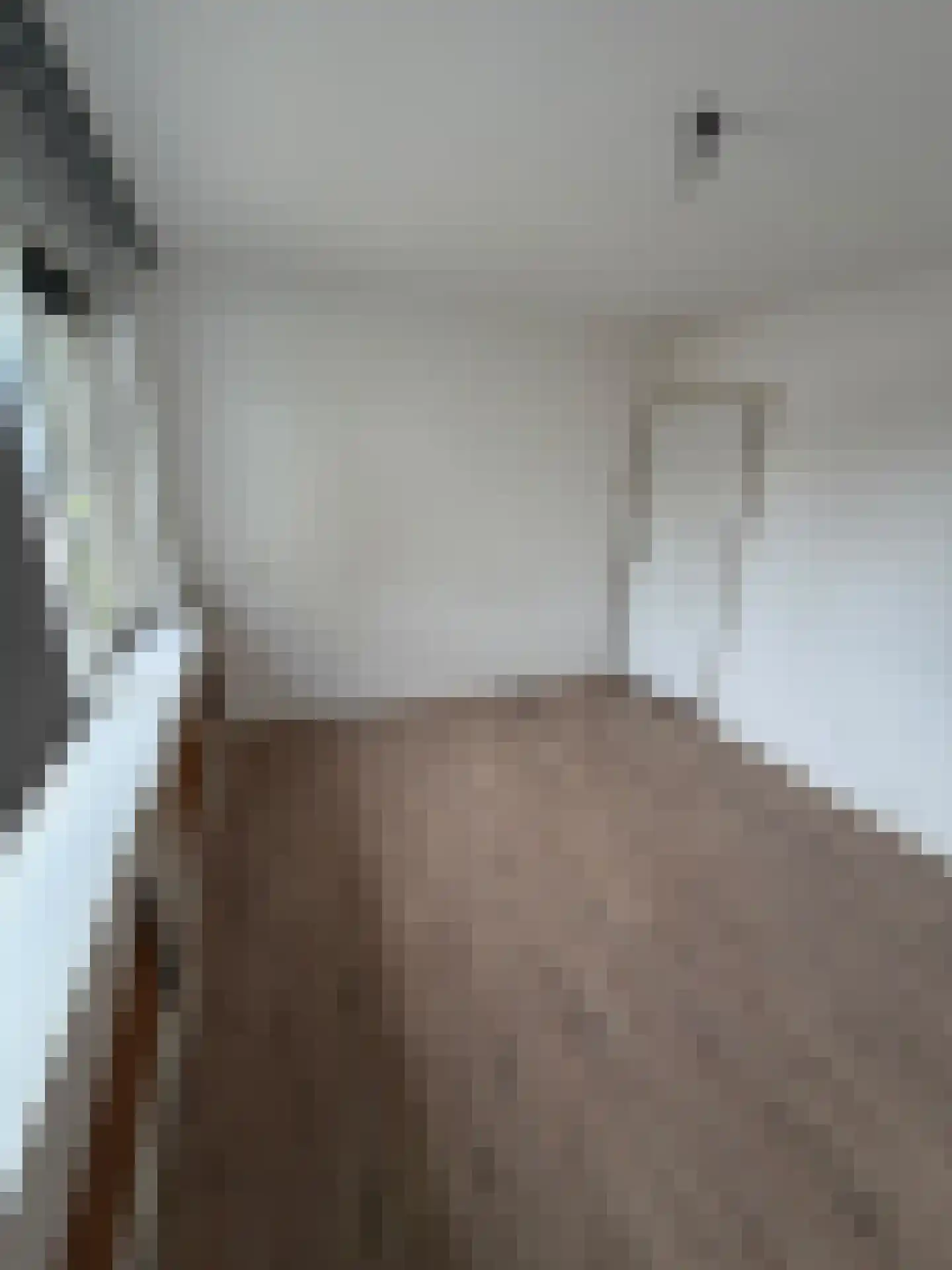 Jan Sluijtersstraat 11 Roosendaal thumbnail 15