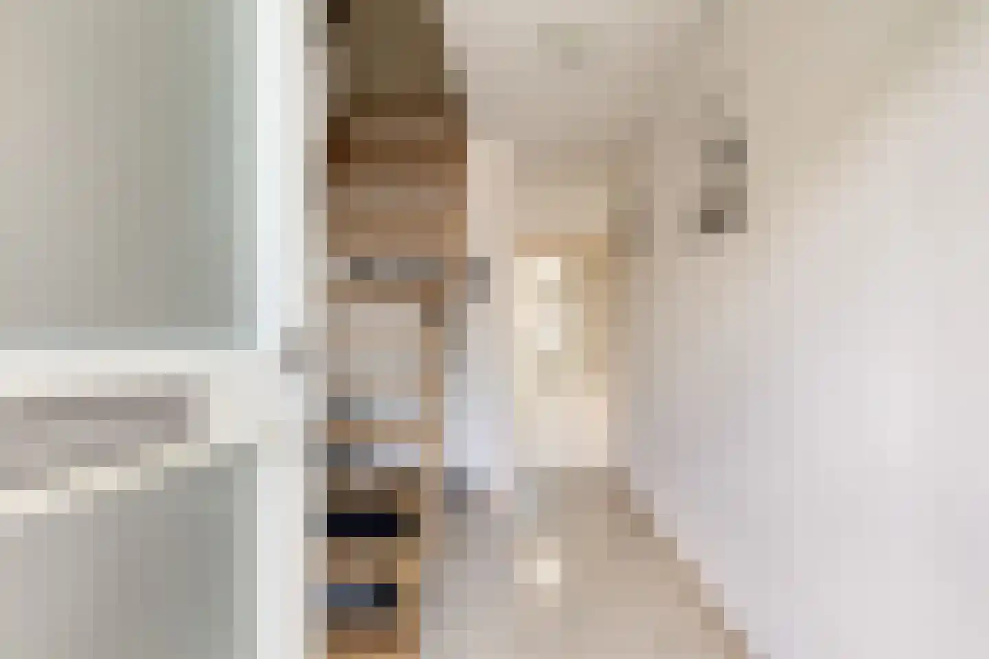 Jan Sluijtersstraat 11 Roosendaal thumbnail 8