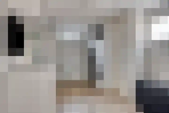 Jan Sluijtersstraat 11 Woerden thumbnail 19