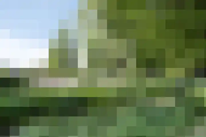 Jan Sluijtersstraat 11 Woerden thumbnail 46