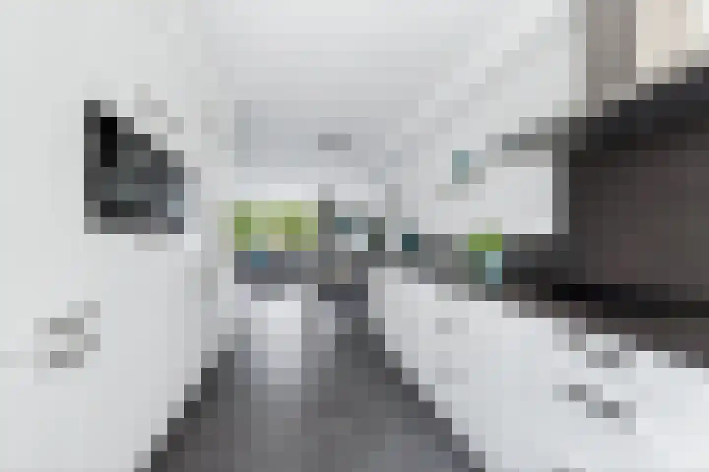 Jan Sluijtersstraat 15 Rotterdam thumbnail 26