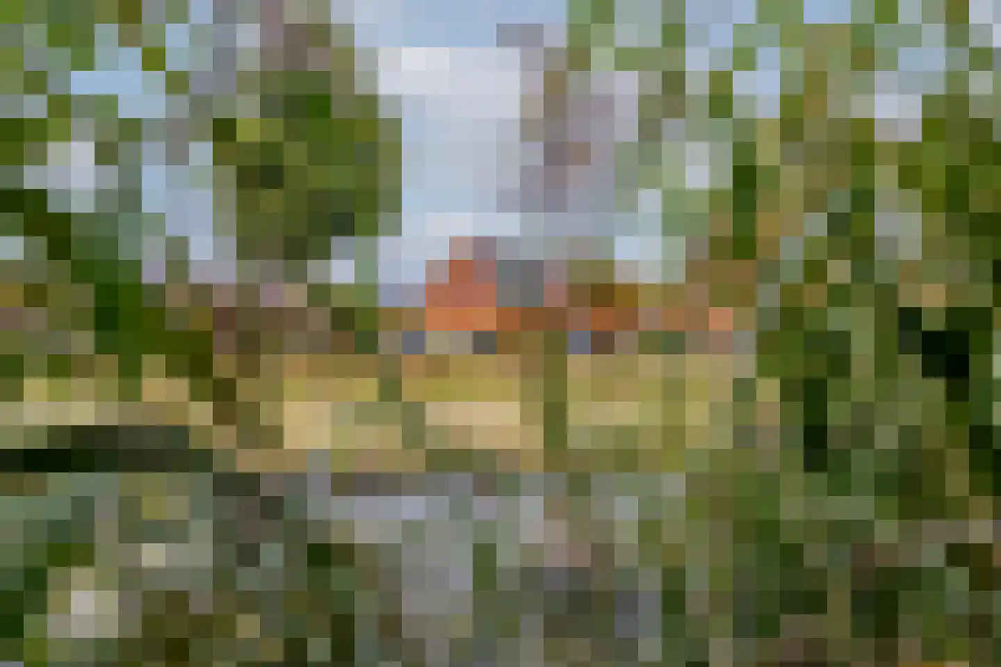 Jan Sluijtersstraat 15 Rotterdam thumbnail 51