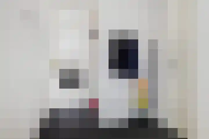 Jan Sluijtersstraat 18 Rotterdam thumbnail 11