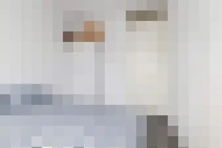 Jan Sluijtersstraat 18 Rotterdam thumbnail 23