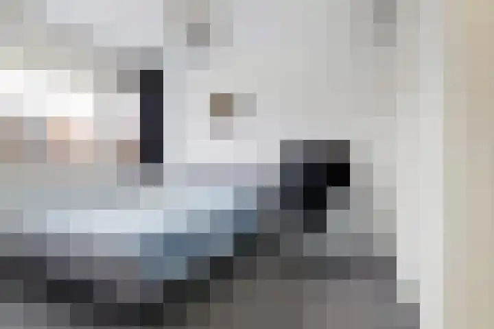 Jan Sluijtersstraat 18 Rotterdam thumbnail 26